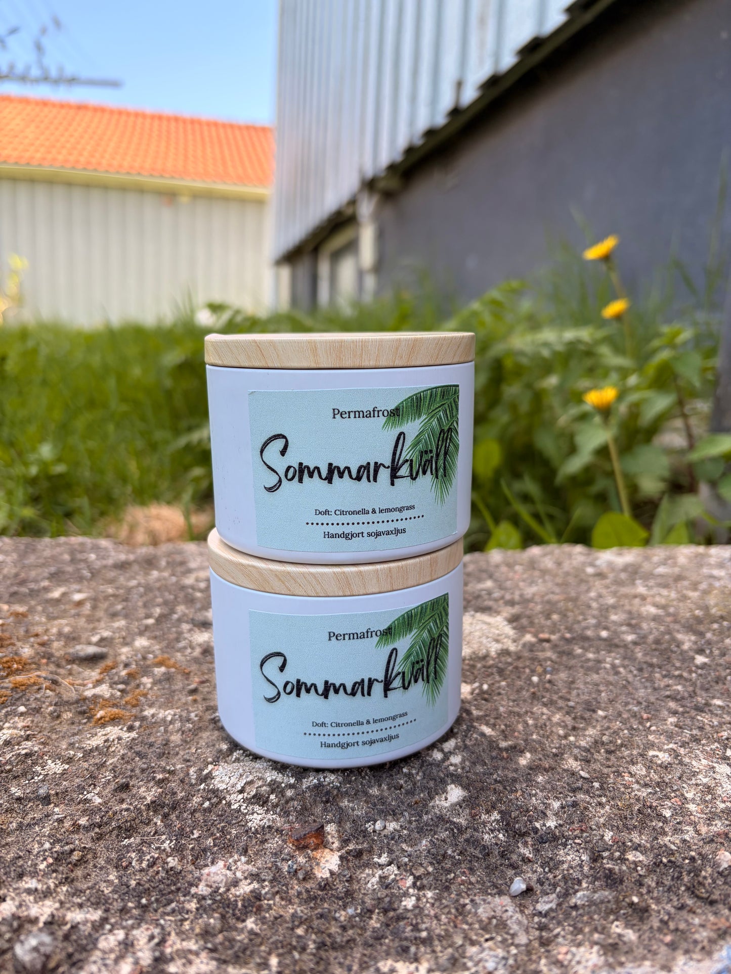 Myggljus sommarkväll
